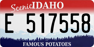 ID license plate E517558