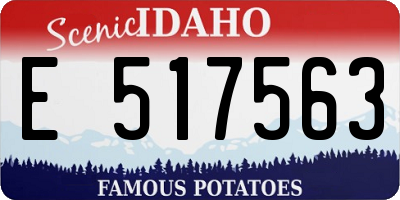 ID license plate E517563