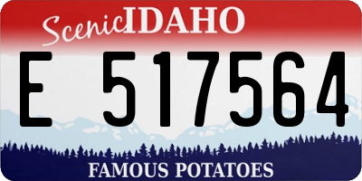 ID license plate E517564