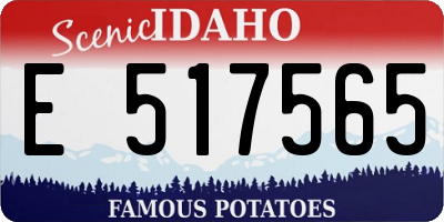 ID license plate E517565