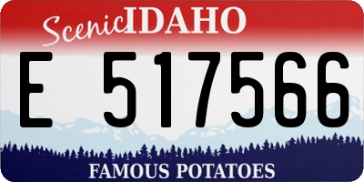 ID license plate E517566