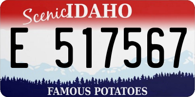 ID license plate E517567