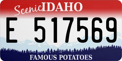 ID license plate E517569