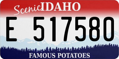 ID license plate E517580