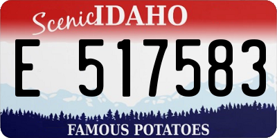 ID license plate E517583