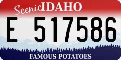 ID license plate E517586