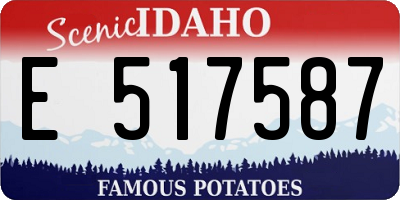 ID license plate E517587