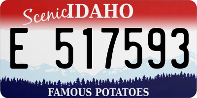 ID license plate E517593