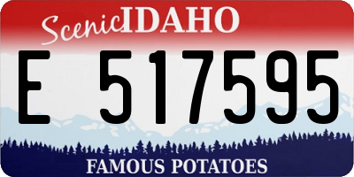 ID license plate E517595