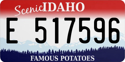 ID license plate E517596