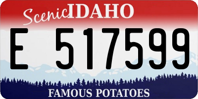 ID license plate E517599