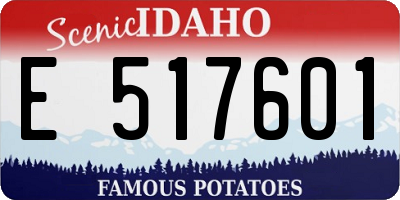 ID license plate E517601