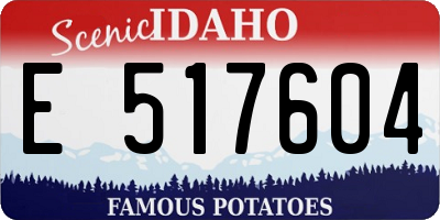 ID license plate E517604