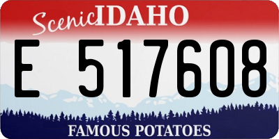 ID license plate E517608