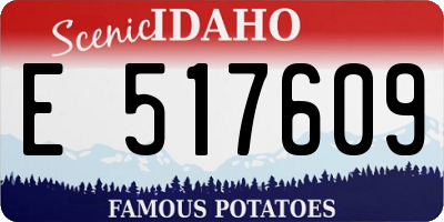 ID license plate E517609