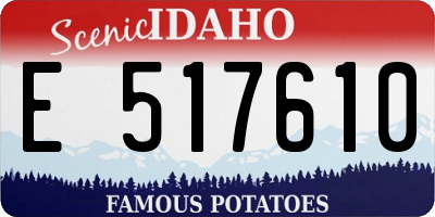 ID license plate E517610