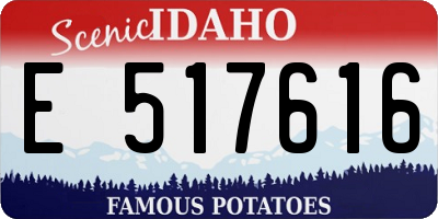 ID license plate E517616
