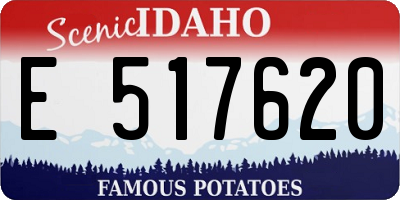 ID license plate E517620