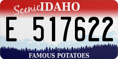 ID license plate E517622