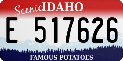 ID license plate E517626