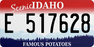 ID license plate E517628