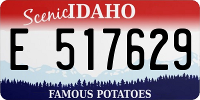 ID license plate E517629