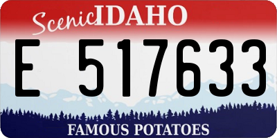 ID license plate E517633