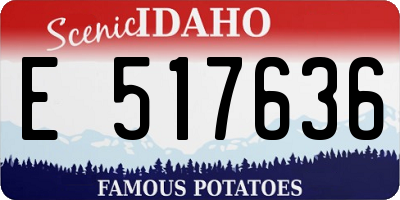 ID license plate E517636