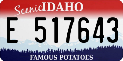 ID license plate E517643