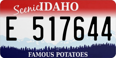 ID license plate E517644