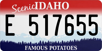 ID license plate E517655