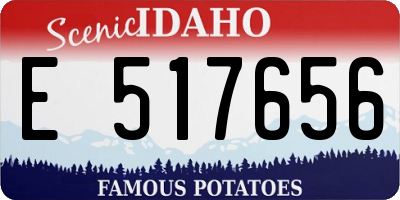 ID license plate E517656