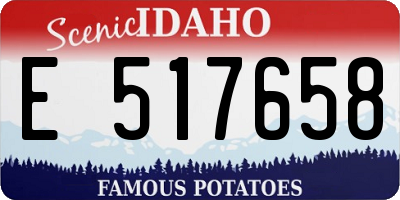 ID license plate E517658