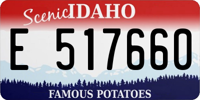 ID license plate E517660