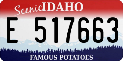 ID license plate E517663