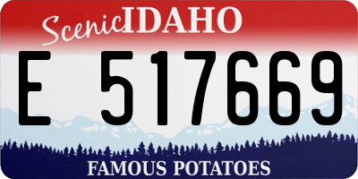ID license plate E517669