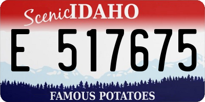 ID license plate E517675