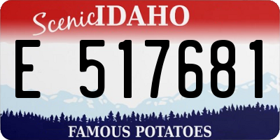 ID license plate E517681