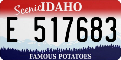 ID license plate E517683