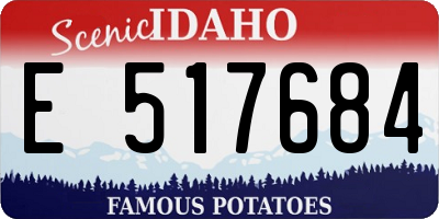 ID license plate E517684