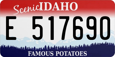 ID license plate E517690