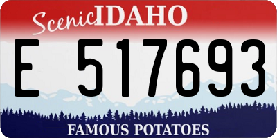 ID license plate E517693