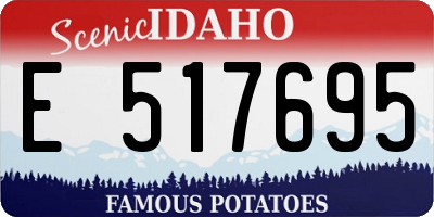 ID license plate E517695