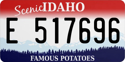 ID license plate E517696