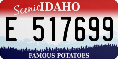 ID license plate E517699