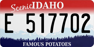 ID license plate E517702