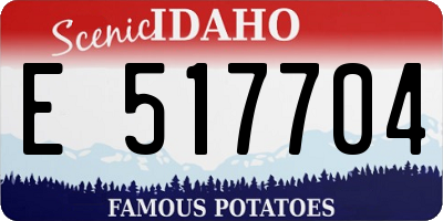 ID license plate E517704