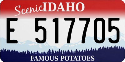 ID license plate E517705