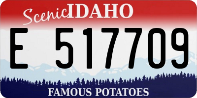 ID license plate E517709