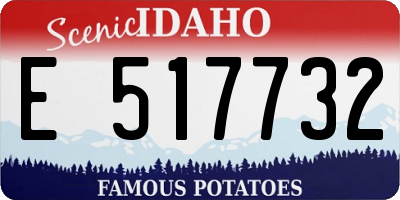 ID license plate E517732
